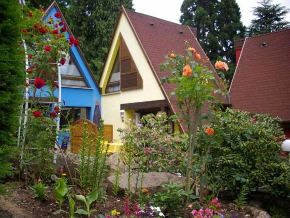 4 Gites Individuels A Kaysersberg Rum bild